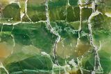Polished Green-White Opal Slab - Western Australia #353737-1